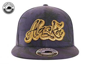 Snapback de algodón púrpura personalizado Bordado elevado Alaska State Flag Logotipo de logotipo