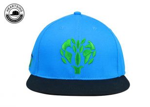 Snapback negro y azul Snapback Two Tone Flat Borded Hat para hombres y mujeres