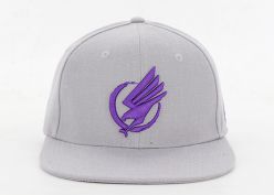 Bordado 3D acrílico gris snapback tapa gris personalizada snapbacks