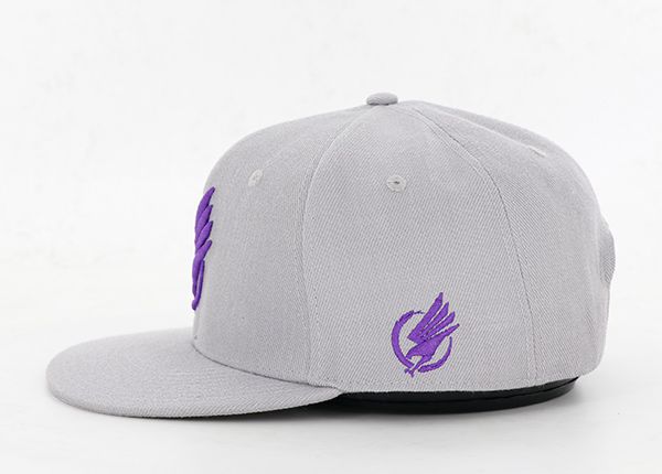 Lado del bordado acrílico 3D Capa de snapback gris