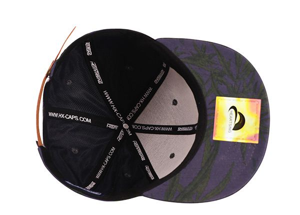 Dentro del Snapback de algodón morado personalizado con bordado elevado de Alaska State Flag Logo