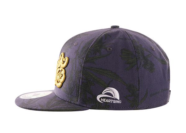 Lado de la snapback de algodón morado personalizado con bordado elevado Alaska State Flag logotipo