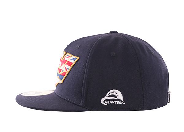 LOGO DEL SUDAD DE LA CAPA DE SNAPBACK Snapback con la bandera de Hawaii Estado Bordado logotipo de bordado
