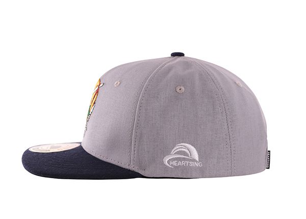 Lado de la personalización de 6 paneles para hombres gris claro Vintage Snapback Snapback con Bill Navy Bill