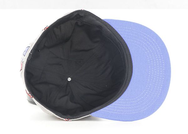 Dentro de la tapa de snapback instantánea de gris no