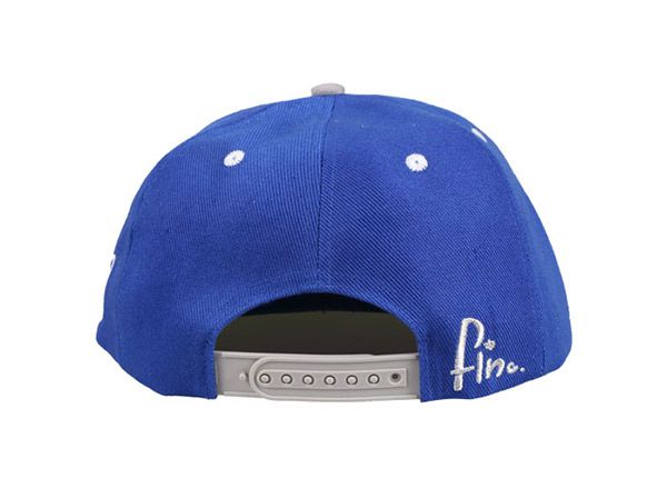 Atrás de Snapback azul y blanco con logotipo azul
