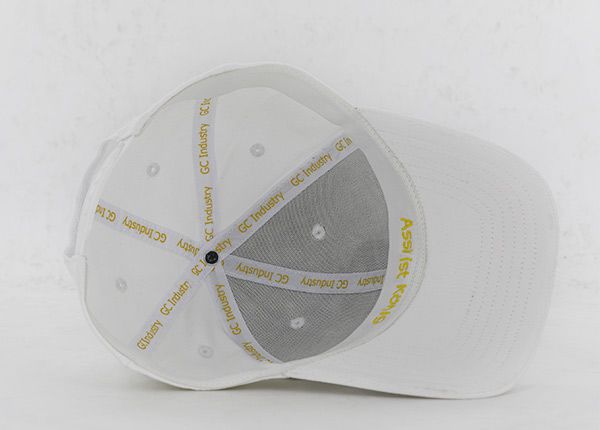 Dentro del bosque curvado doblado blanco snapback