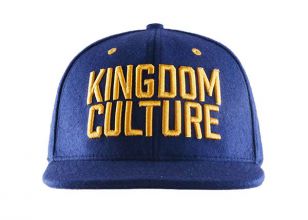 Snapbacks de cultura pop Cap bordado personalizado