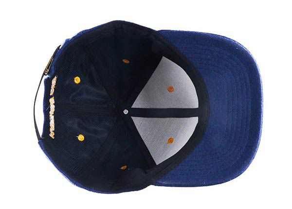 Dentro de los snapbacks de bordado de cultura pop personalizada