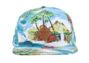 Snapbacks personalizados Snapbacks Hawaii Floral Hats