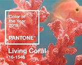 Color del año 2019-Coral de vida (Pantone 16-1546)