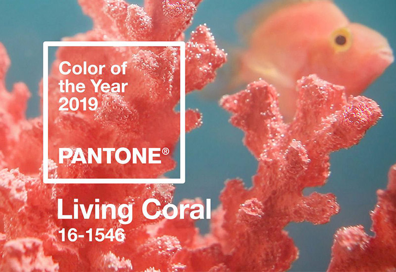 color-of-year-2019-coral01.jpg
