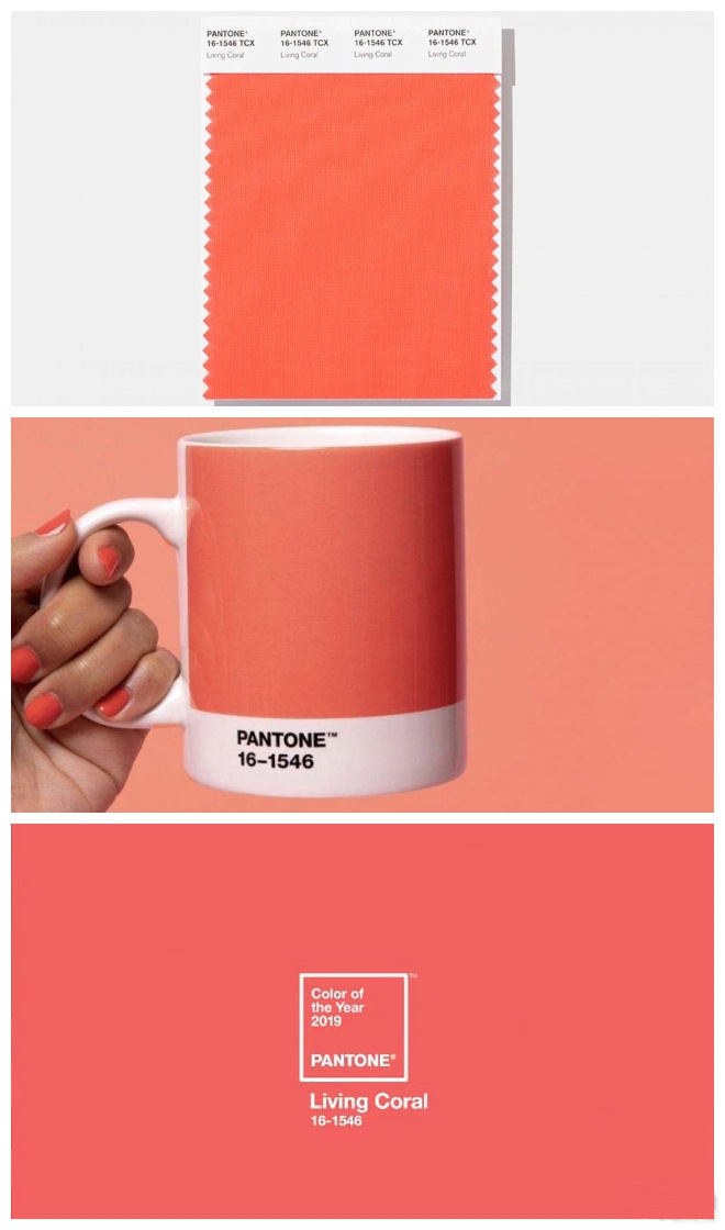 color-of-year-2019-coral02.jpg